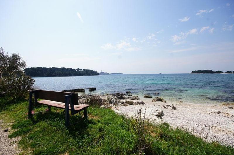 Room In Rovinj With Terrace, Air Conditioning, W-Lan 81-5 Exterior photo